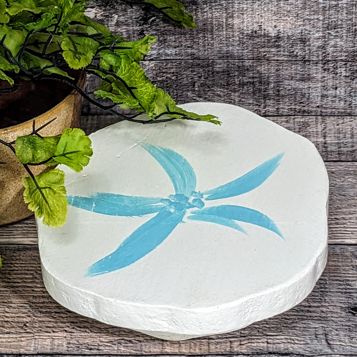 Coastal Themed Sand Dollar Tiered Tray Riser Mini Rustic Wood Candle Platform Beach House Style Coastal Farmhouse Housewarming Gift Idea