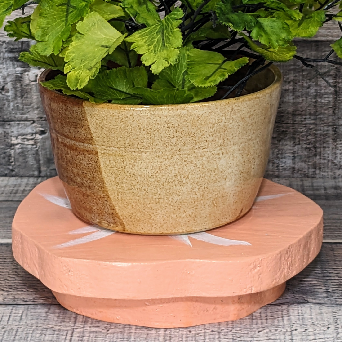 Coastal Farmhouse Housewarming Gift Idea Ocean Themed Sand Dollar Tiered Tray Riser Mini Rustic Wood Candle Platform Beach House Style