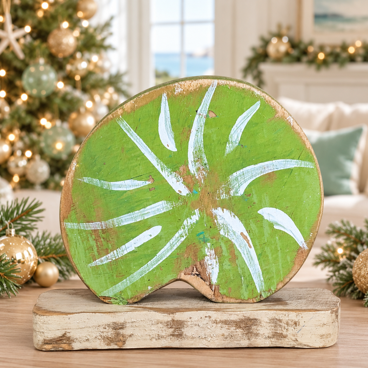 Nautilus Sea Shell Home & Party Decor